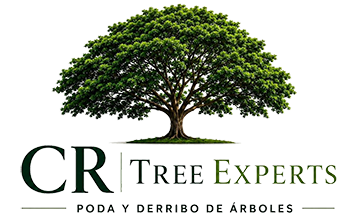 CR Tree Experts